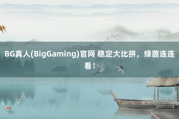 BG真人(BigGaming)官网 稳定大比拼，<a href=
