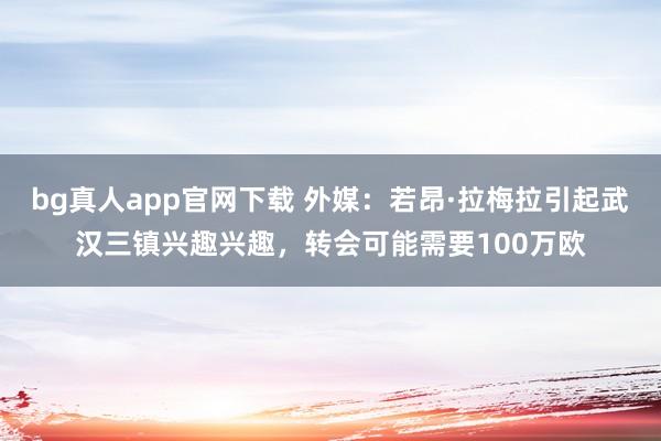 bg真人app官网下载 外媒：若昂·拉梅拉引起武汉三镇兴趣兴趣，转会可能需要100万欧