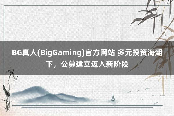 BG真人(BigGaming)官方网站 多元投资海潮下，公募建立迈入新阶段