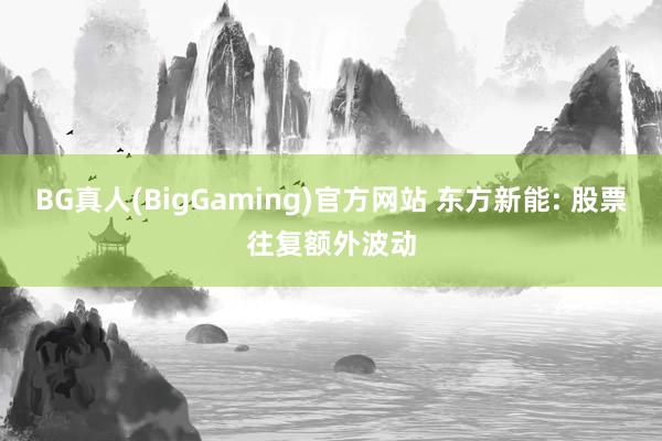 BG真人(BigGaming)官方网站 东方新能: 股票往复额外波动