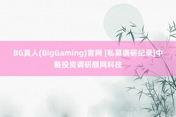 BG真人(BigGaming)官网 [私募调研纪录]中略投资调研顺网科技