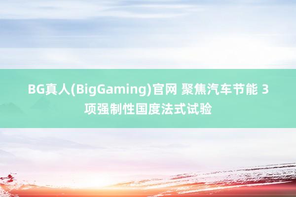 BG真人(BigGaming)官网 聚焦汽车节能 3项强制性国度法式试验