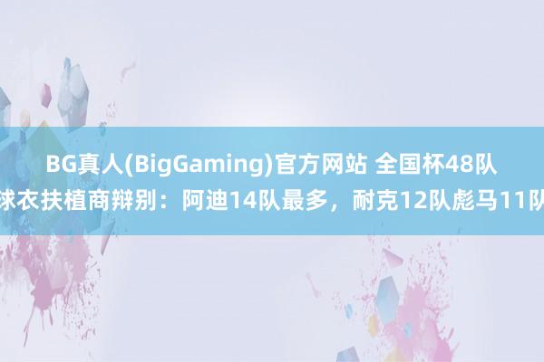 BG真人(BigGaming)官方网站 全国杯48队球衣扶植商辩别：阿迪14队最多，耐克12队彪马11队
