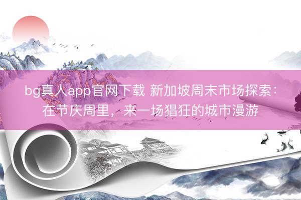bg真人app官网下载 新加坡周末市场探索：在节庆周里，来一场猖狂的城市漫游