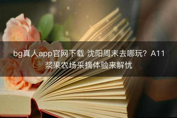 bg真人app官网下载 沈阳周末去哪玩？A11浆果农场采摘体验来解忧