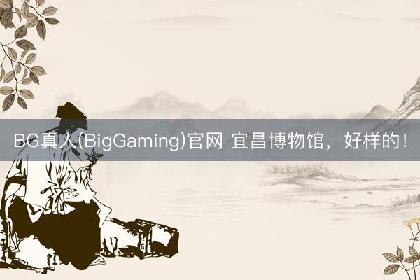 BG真人(BigGaming)官网 宜昌博物馆，好样的！