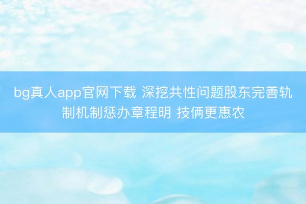 bg真人app官网下载 深挖共性问题股东完善轨制机制惩办章程明 技俩更惠农