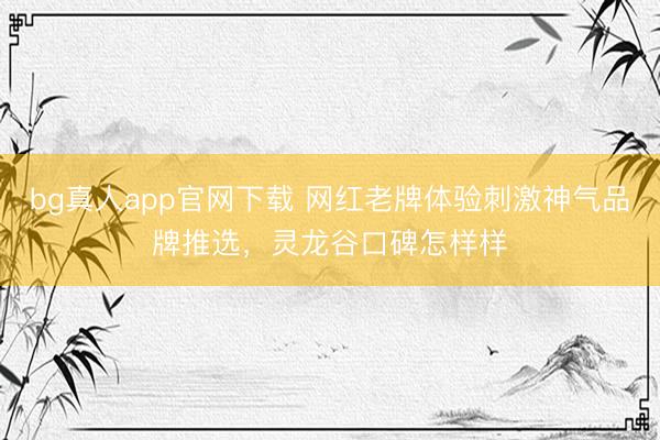 bg真人app官网下载 网红老牌体验刺激神气品牌推选，灵龙谷口碑怎样样