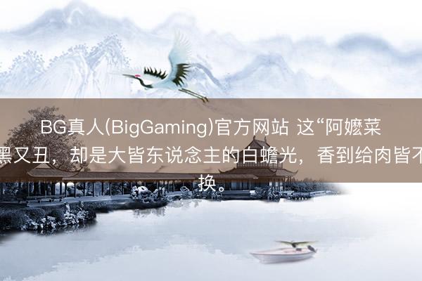 BG真人(BigGaming)官方网站 这“阿嬷菜”又黑又丑，却是大皆东说念主的白蟾光，香到给肉皆不换。