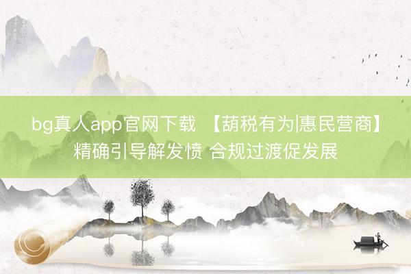 bg真人app官网下载 【葫税有为|惠民营商】精确引导解发愤 合规过渡促发展