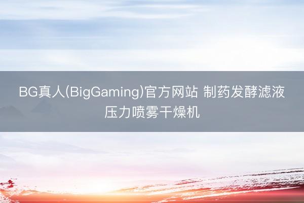 BG真人(BigGaming)官方网站 制药发酵滤液压力喷雾干燥机