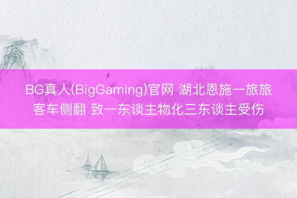 BG真人(BigGaming)官网 湖北恩施一旅旅客车侧翻 致一东谈主物化三东谈主受伤