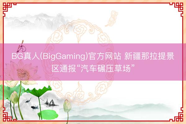 BG真人(BigGaming)官方网站 新疆那拉提景区通报“汽车碾压草场”