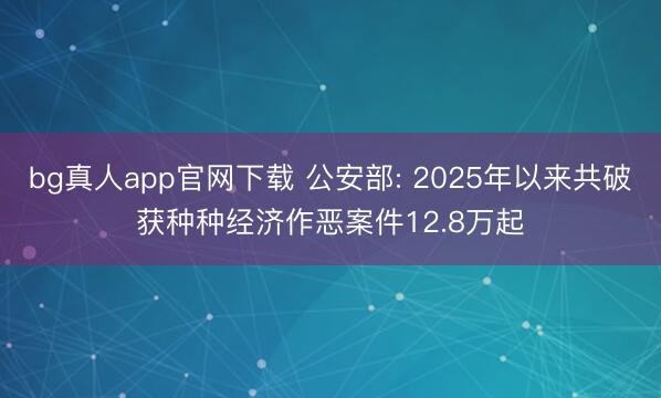 bg真人app官网下载 公安部: 2025年以来共破获种种经济作恶案件12.8万起