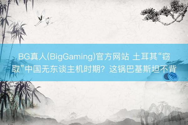 BG真人(BigGaming)官方网站 土耳其“窃取”中国无东谈主机时期？这锅巴基斯坦不背