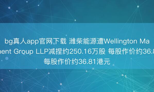 bg真人app官网下载 潍柴能源遭Wellington Management Group LLP减捏约250.16万股 每股作价约36.81港元