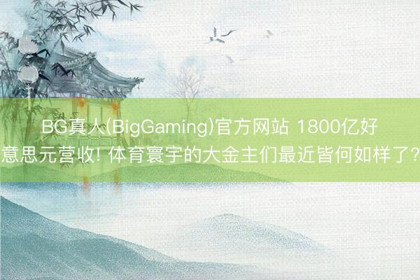 BG真人(BigGaming)官方网站 1800亿好意思元营收! 体育寰宇的大金主们最近皆何如样了?
