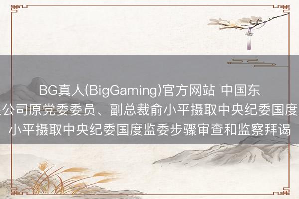 BG真人(BigGaming)官方网站 中国东谈主民保障集团股份有限公司原党委委员、副总裁俞小平摄取中央纪委国度监委步骤审查和监察拜谒