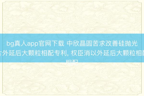 bg真人app官网下载 中欣晶圆苦求改善硅抛光片外延后大颗粒相配专利， 权臣消以外延后大颗粒相配