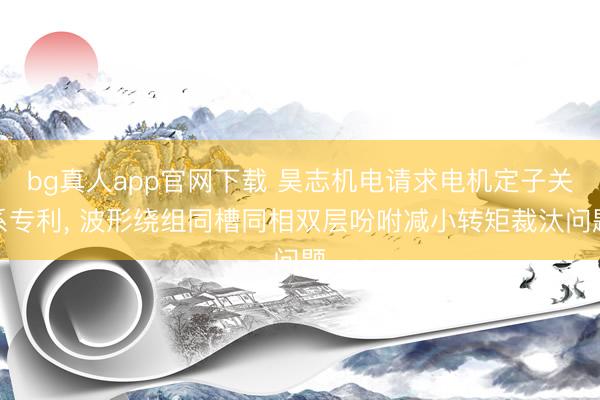 bg真人app官网下载 昊志机电请求电机定子关系专利， 波形绕组同槽同相双层吩咐减小转矩裁汰问题