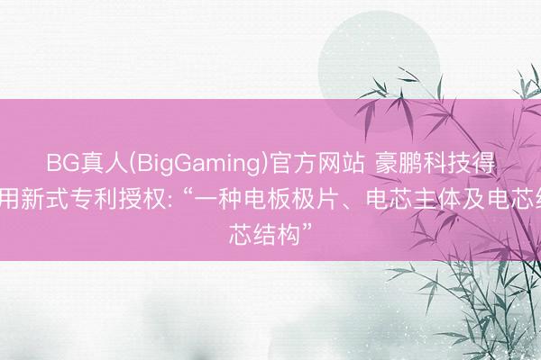 BG真人(BigGaming)官方网站 豪鹏科技得到实用新式专利授权: “一种电板极片、电芯主体及电芯结构”